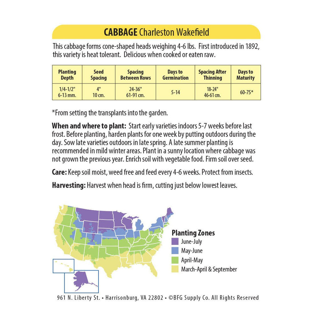 Wetsel Seed™ Charleston Wakefield Cabbage Seed - Greenhouse Megastore