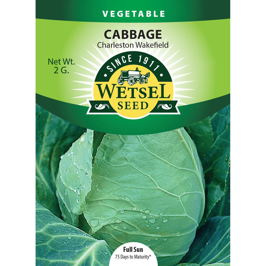 Wetsel Seed™ Charleston Wakefield Cabbage Seed - Greenhouse Megastore