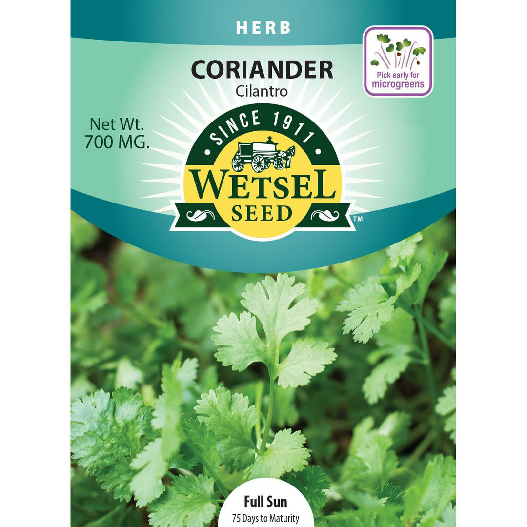 Wetsel Seed™ Cilantro/Coriander Seed - Greenhouse Megastore