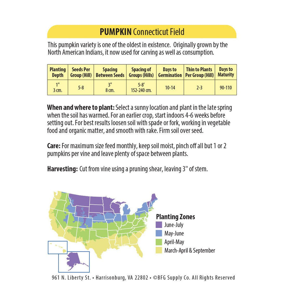 Wetsel Seed™ Connecticut Field Pumpkin Seed - Greenhouse Megastore
