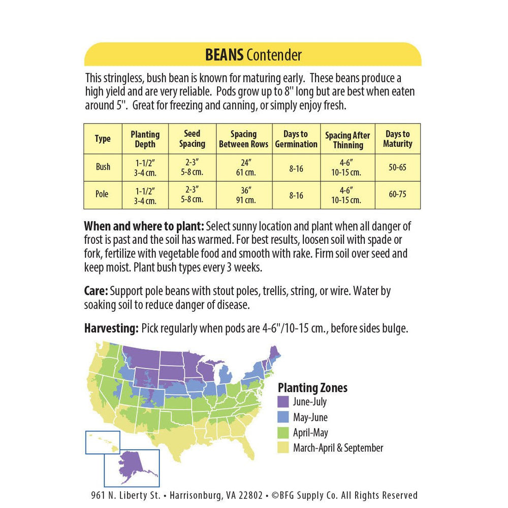 Wetsel Seed™ Contender Stringless Bean Seed - Greenhouse Megastore
