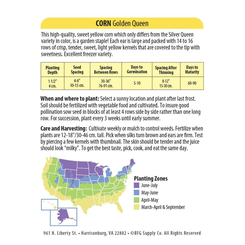 Wetsel Seed™ Corn Golden Queen Seed - Greenhouse Megastore