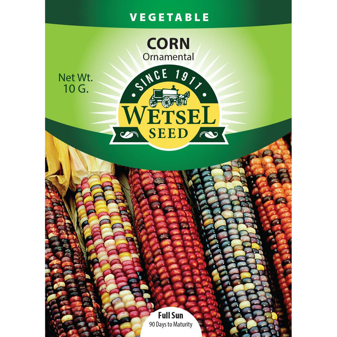 Wetsel Seed™ Corn Ornamental Seed - Greenhouse Megastore