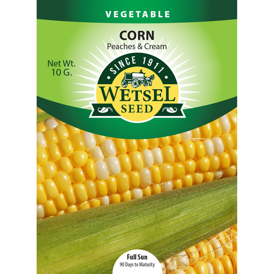 Wetsel Seed™ Corn Sweet Peaches & Cream Seed - Greenhouse Megastore