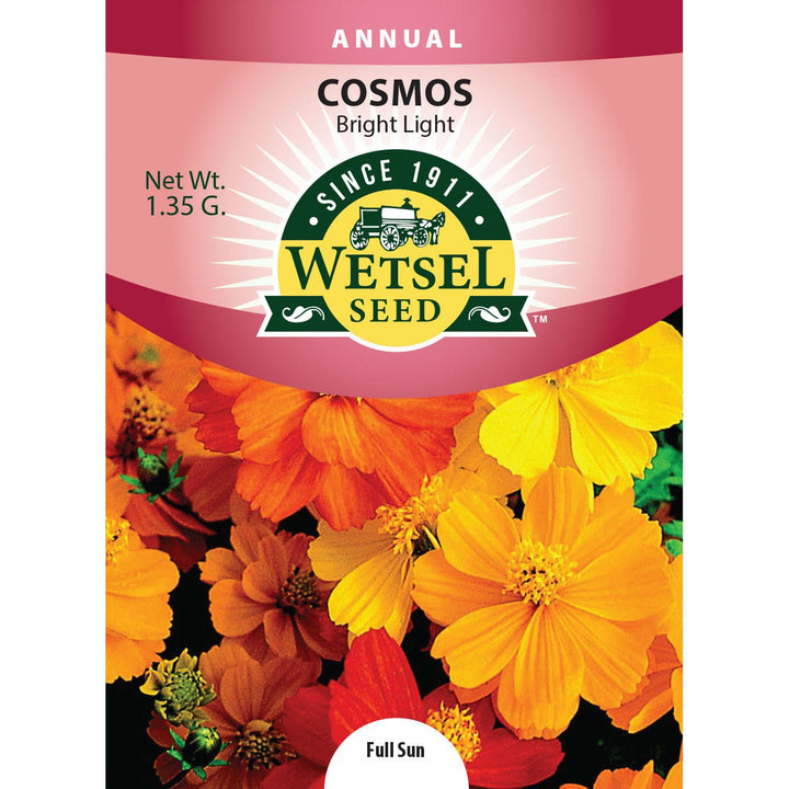 Wetsel Seed™ Cosmos Bright Light Mix Seed - Greenhouse Megastore