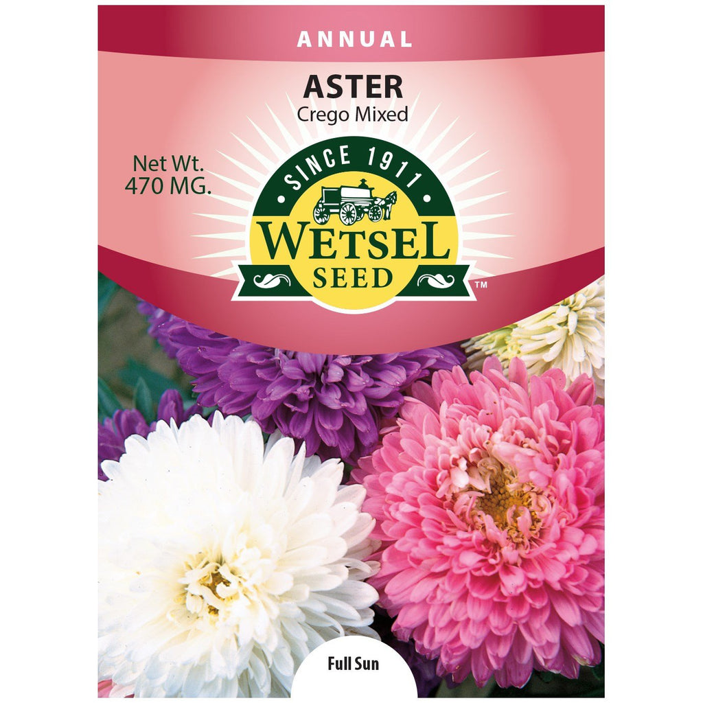 planting aster seeds Wetsel Seed™ Crego Mixed Aster Seed