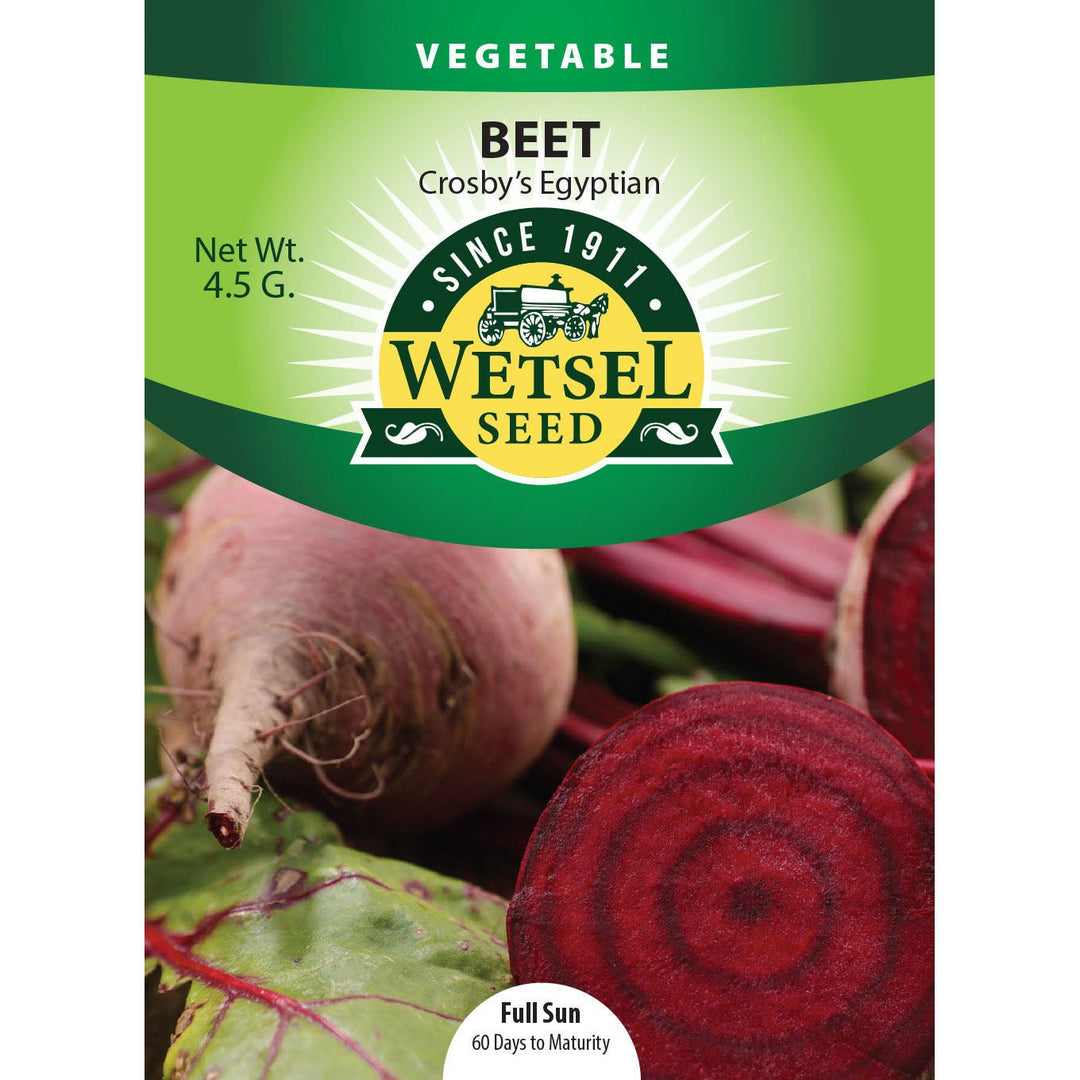 Wetsel Seed™ Crosby's Egyptian Beet Seed - Greenhouse Megastore