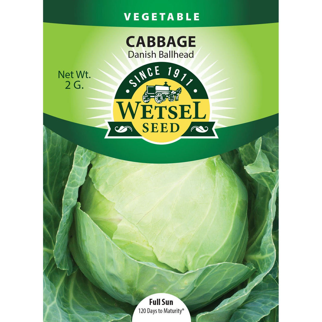 Wetsel Seed™ Danish Ballhead Cabbage Seed - Greenhouse Megastore