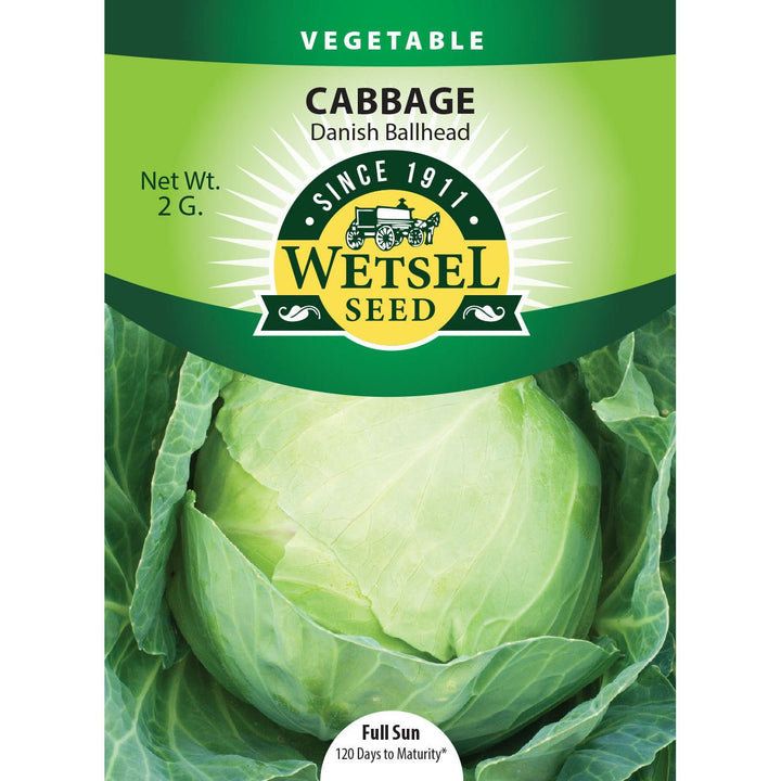 Wetsel Seed™ Danish Ballhead Cabbage Seed - Greenhouse Megastore