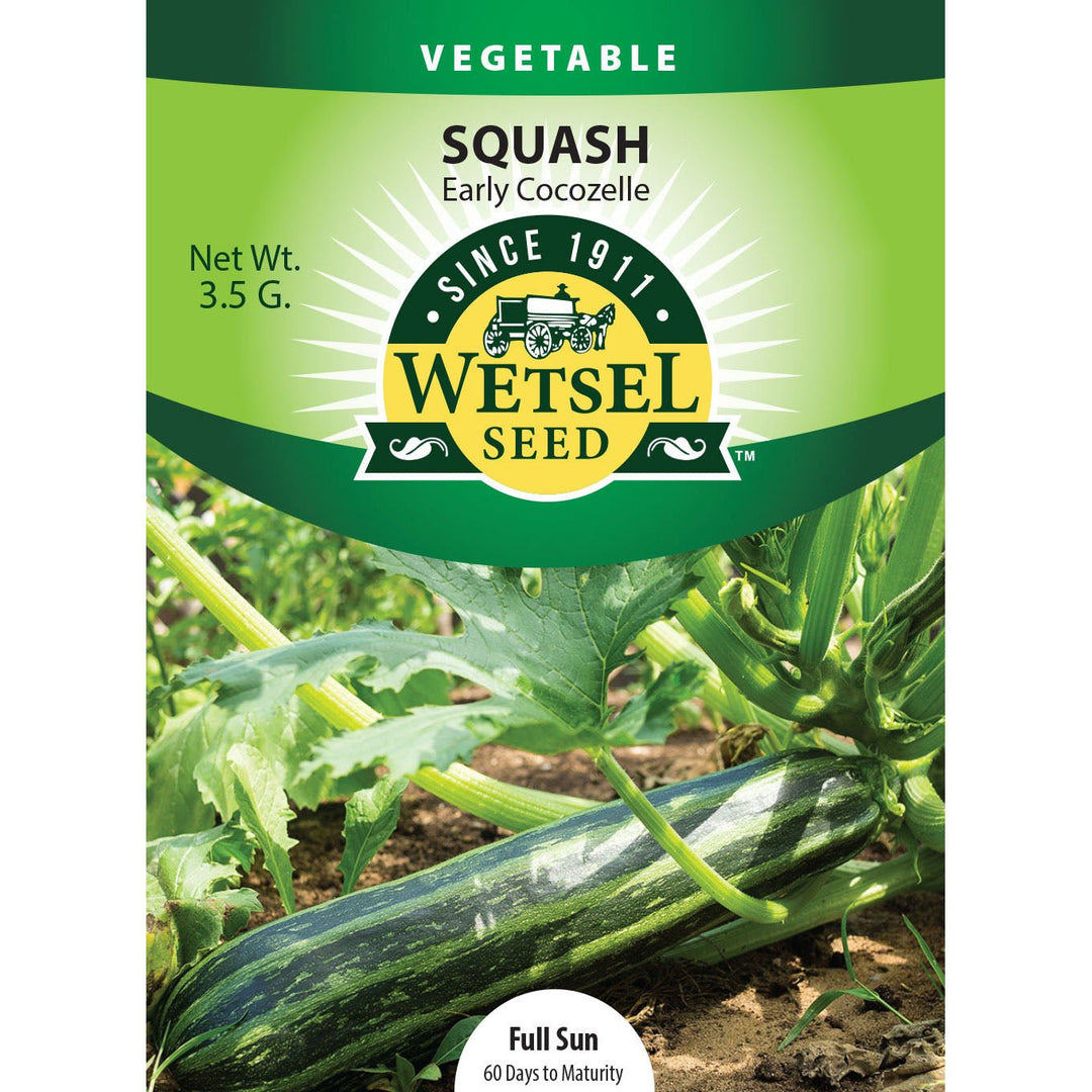 Wetsel Seed™ Early Cocozelle Squash Seed Packet - Greenhouse Megastore