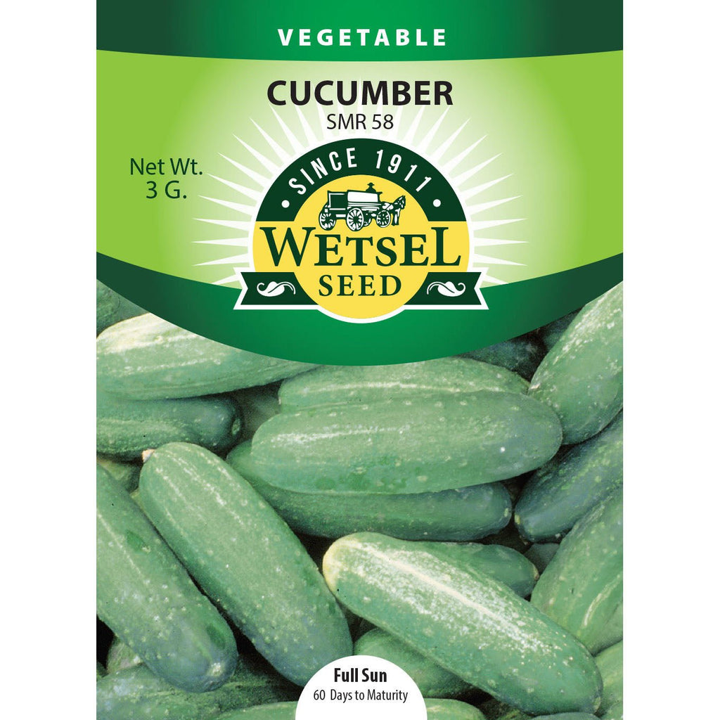 cucumber seed planting depth Wetsel Seed™ Early Green Cluster Cucumber Seed