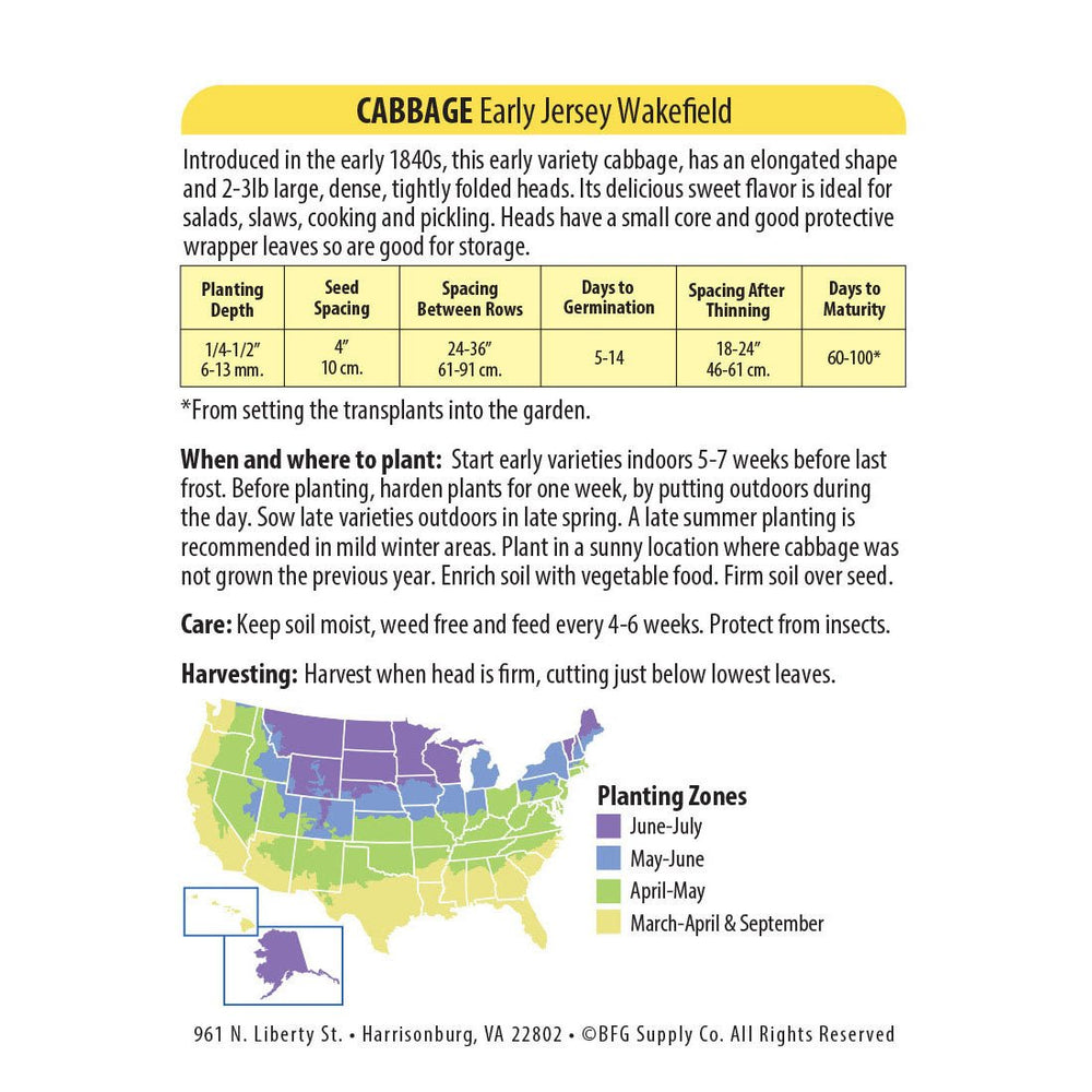 Wetsel Seed™ Early Jersey Wakefield Cabbage Seed - Greenhouse Megastore