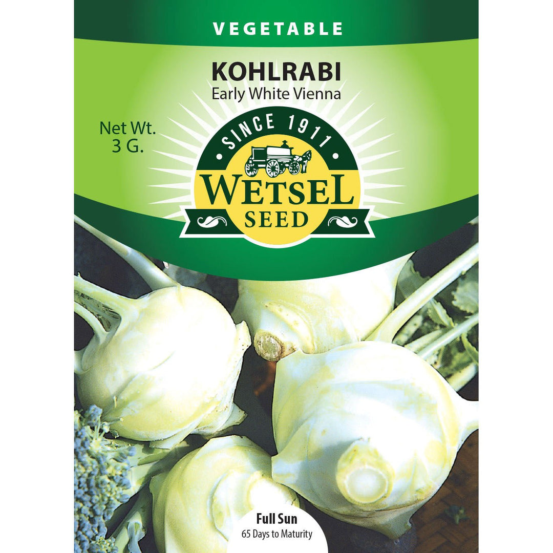 Wetsel Seed™ Early White Vienna Kohlrabi Seed - Greenhouse Megastore