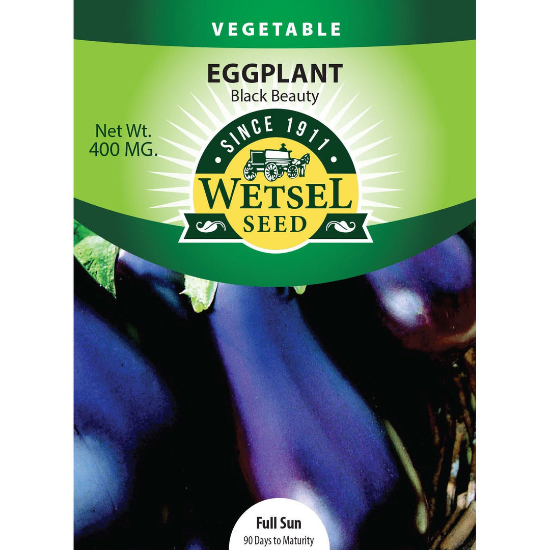 Wetsel Seed™ Eggplant Black Beauty Seed - Greenhouse Megastore