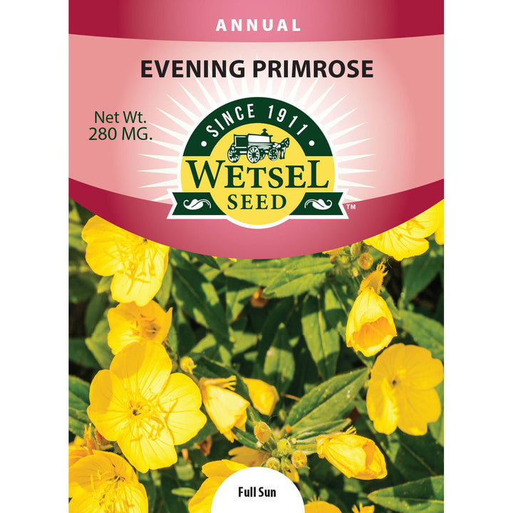 Wetsel Seed™ Evening Primrose Seed - Greenhouse Megastore