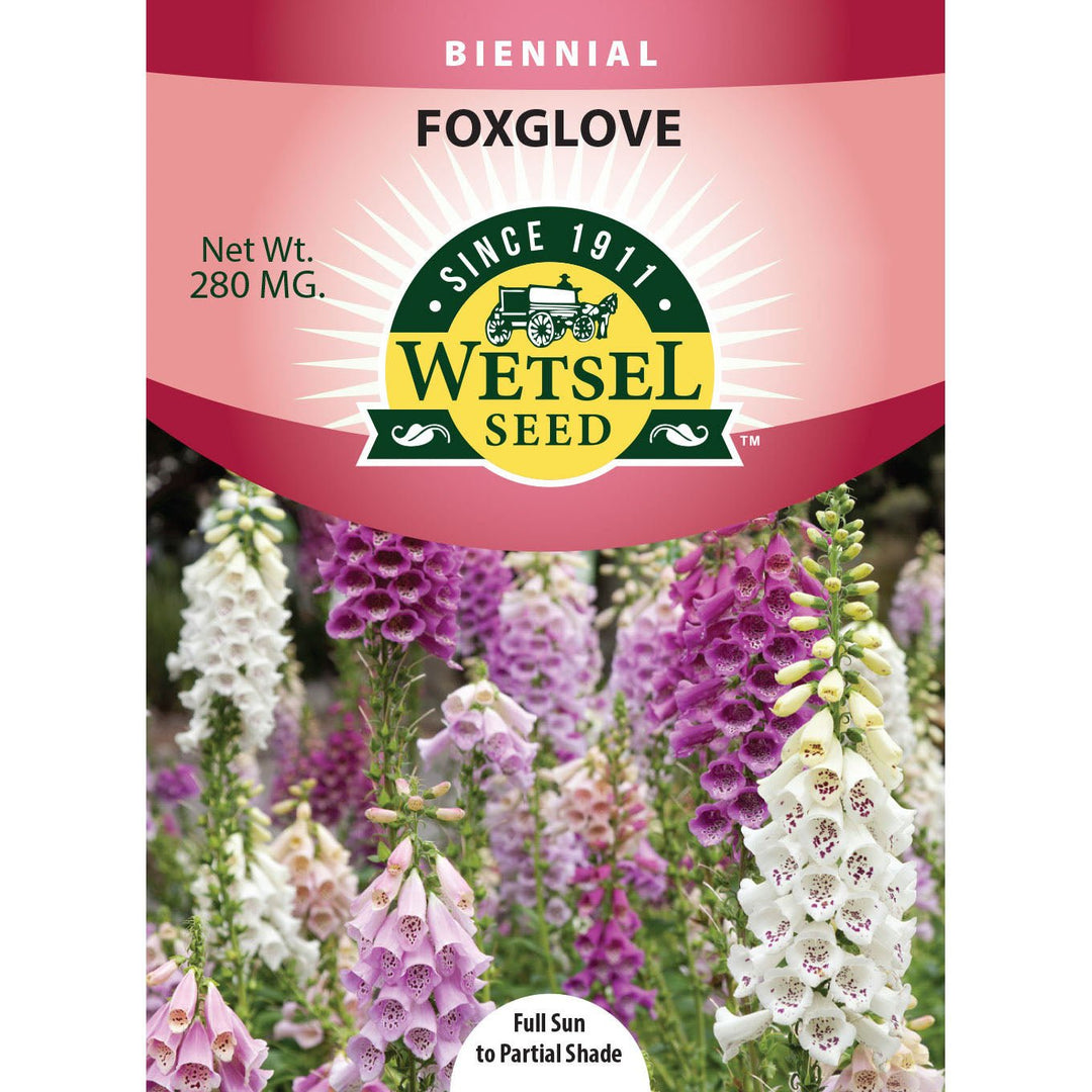 Wetsel Seed™ Foxglove Seed - Greenhouse Megastore