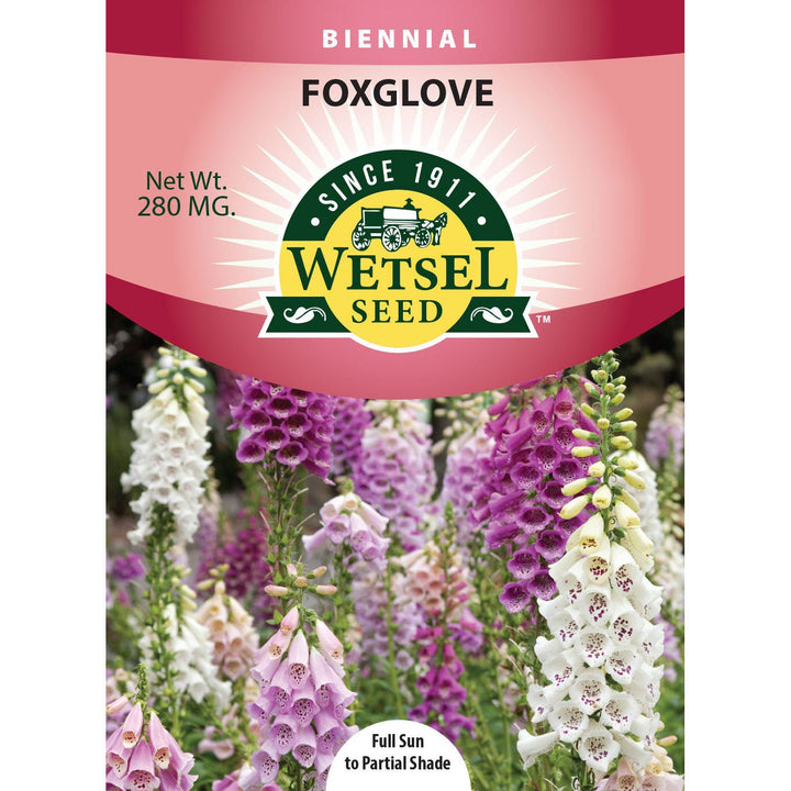 Wetsel Seed™ Foxglove Seed - Greenhouse Megastore