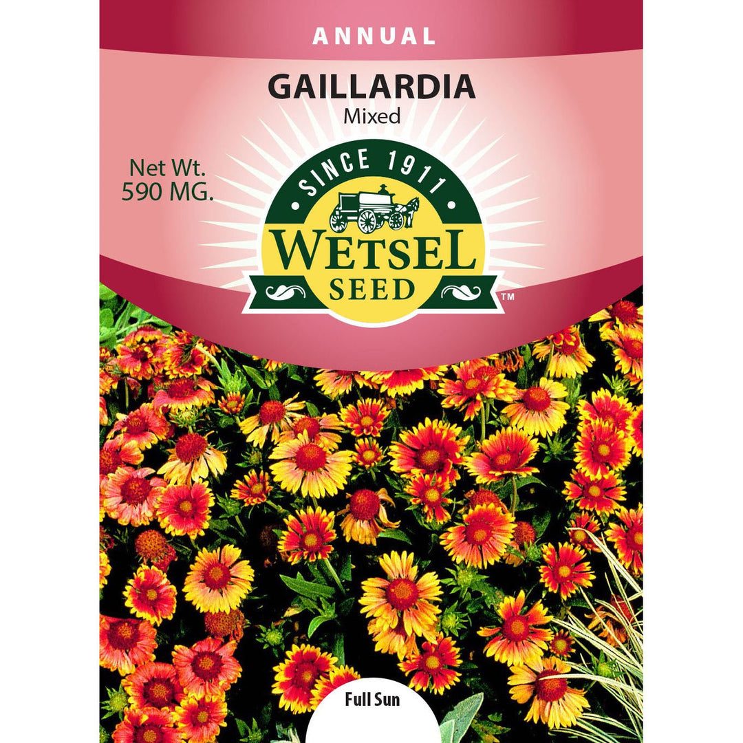 Wetsel Seed™ Gaillardia Grandiflora Single Mix Seed - Greenhouse Megastore