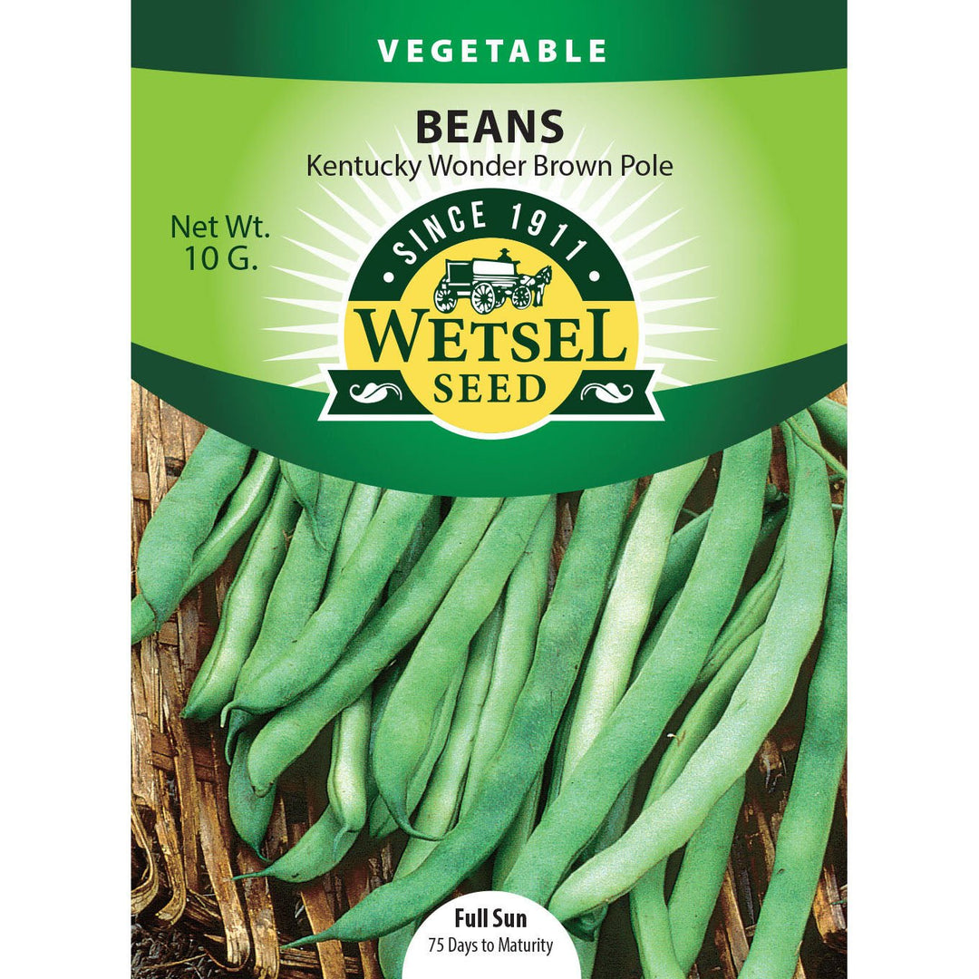 Wetsel Seed™ Garden Beans Kentucky Wonder Brown Pole Beans Seed - Greenhouse Megastore
