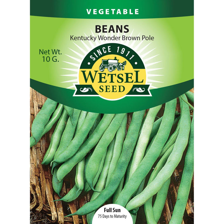 Wetsel Seed™ Garden Beans Kentucky Wonder Brown Pole Beans Seed - Greenhouse Megastore
