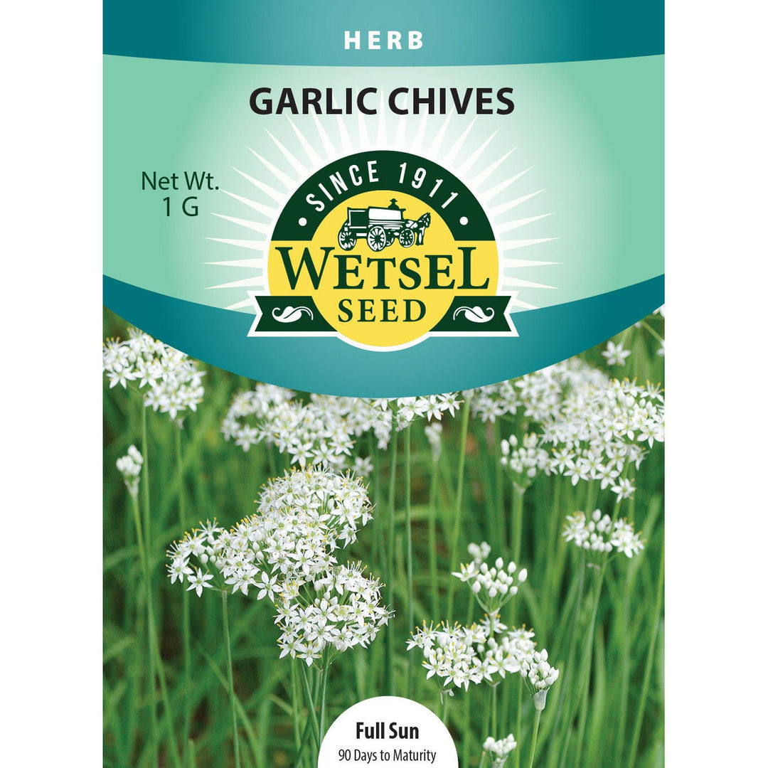 Wetsel Seed™ Garlic Chives Seed - Greenhouse Megastore