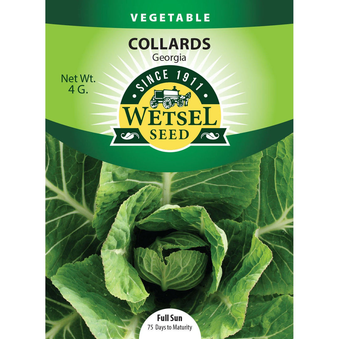 Wetsel Seed™ Georgia Collards Seed - Greenhouse Megastore