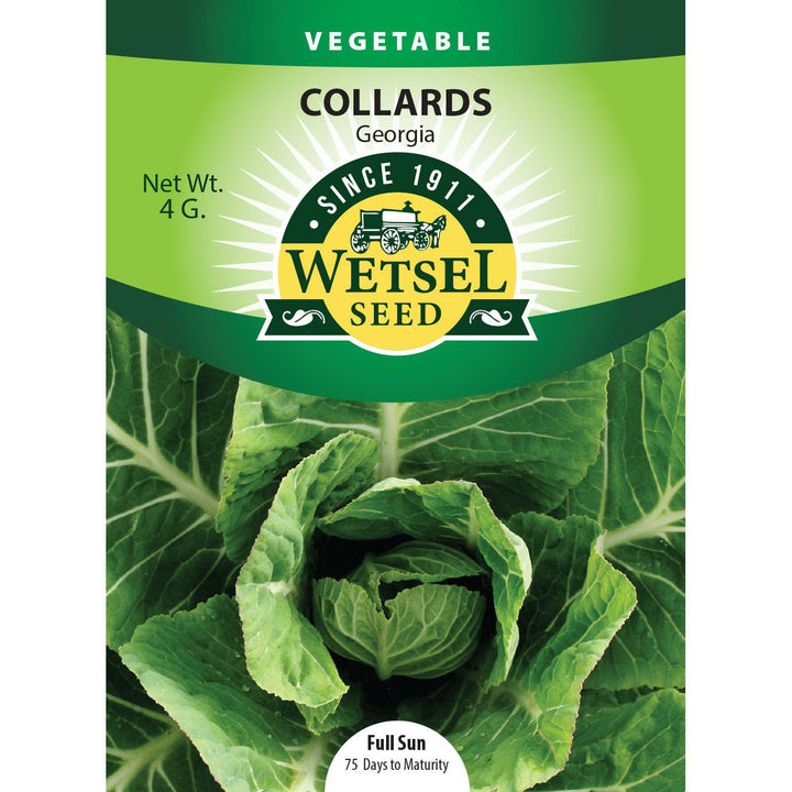 Wetsel Seed™ Georgia Collards Seed - Greenhouse Megastore