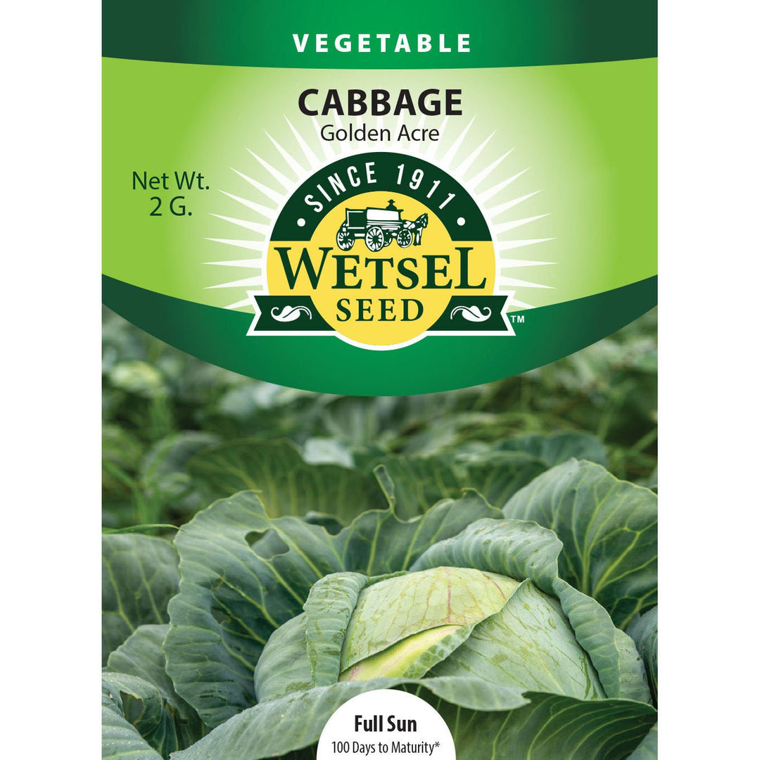 Wetsel Seed™ Golden Acre Cabbage Seed - Greenhouse Megastore