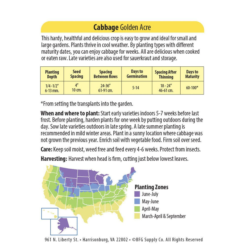 Wetsel Seed™ Golden Acre Cabbage Seed - Greenhouse Megastore