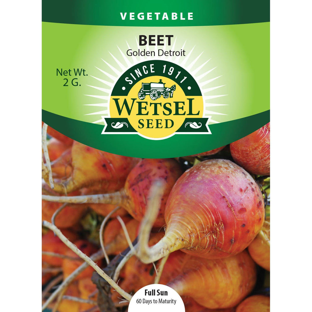 Wetsel Seed™ Golden Detroit Beet Seed - Greenhouse Megastore