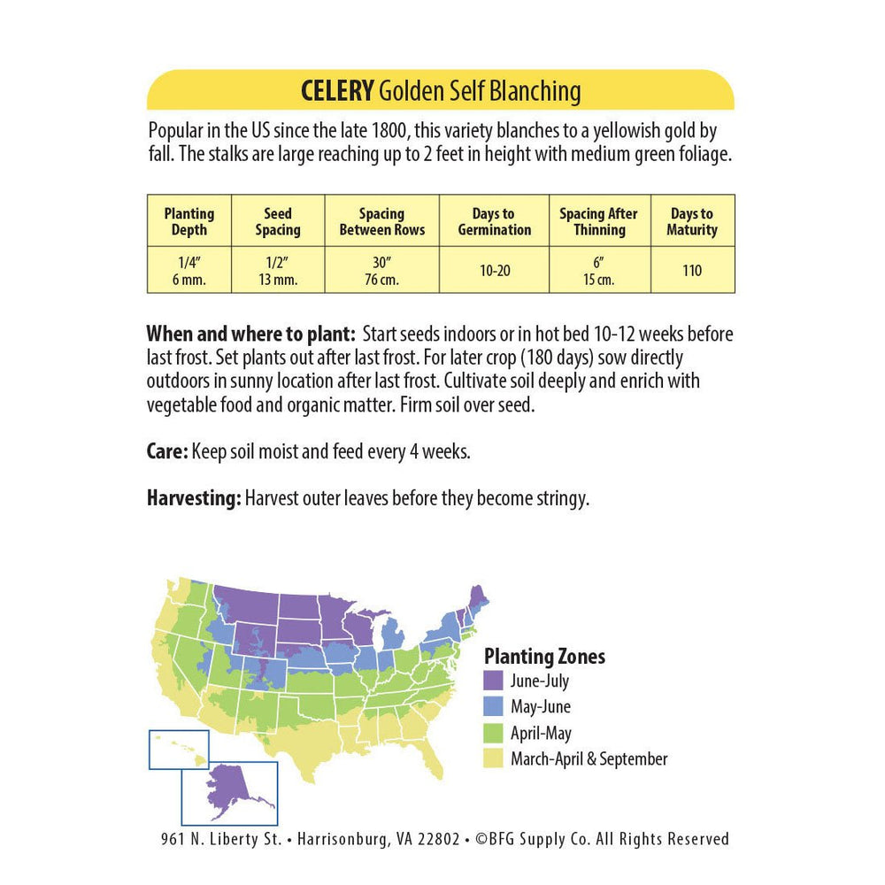 Wetsel Seed™ Golden Self Blanching Celery Seed - Greenhouse Megastore