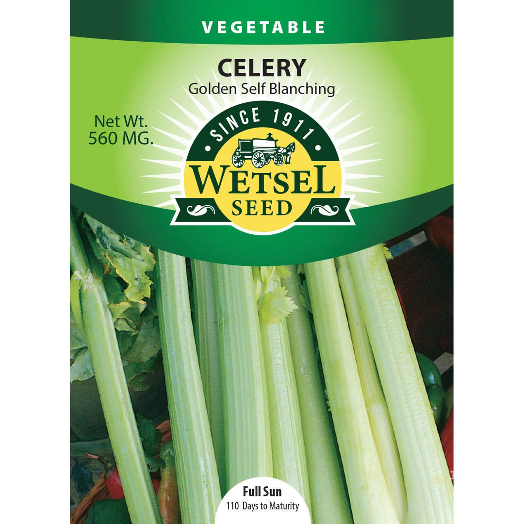 Wetsel Seed™ Golden Self Blanching Celery Seed - Greenhouse Megastore