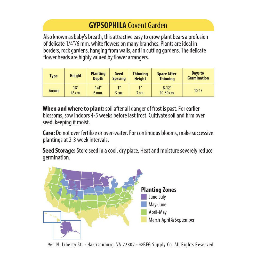 Wetsel Seed™ Gypsophila Covenant Garden Seed - Greenhouse Megastore