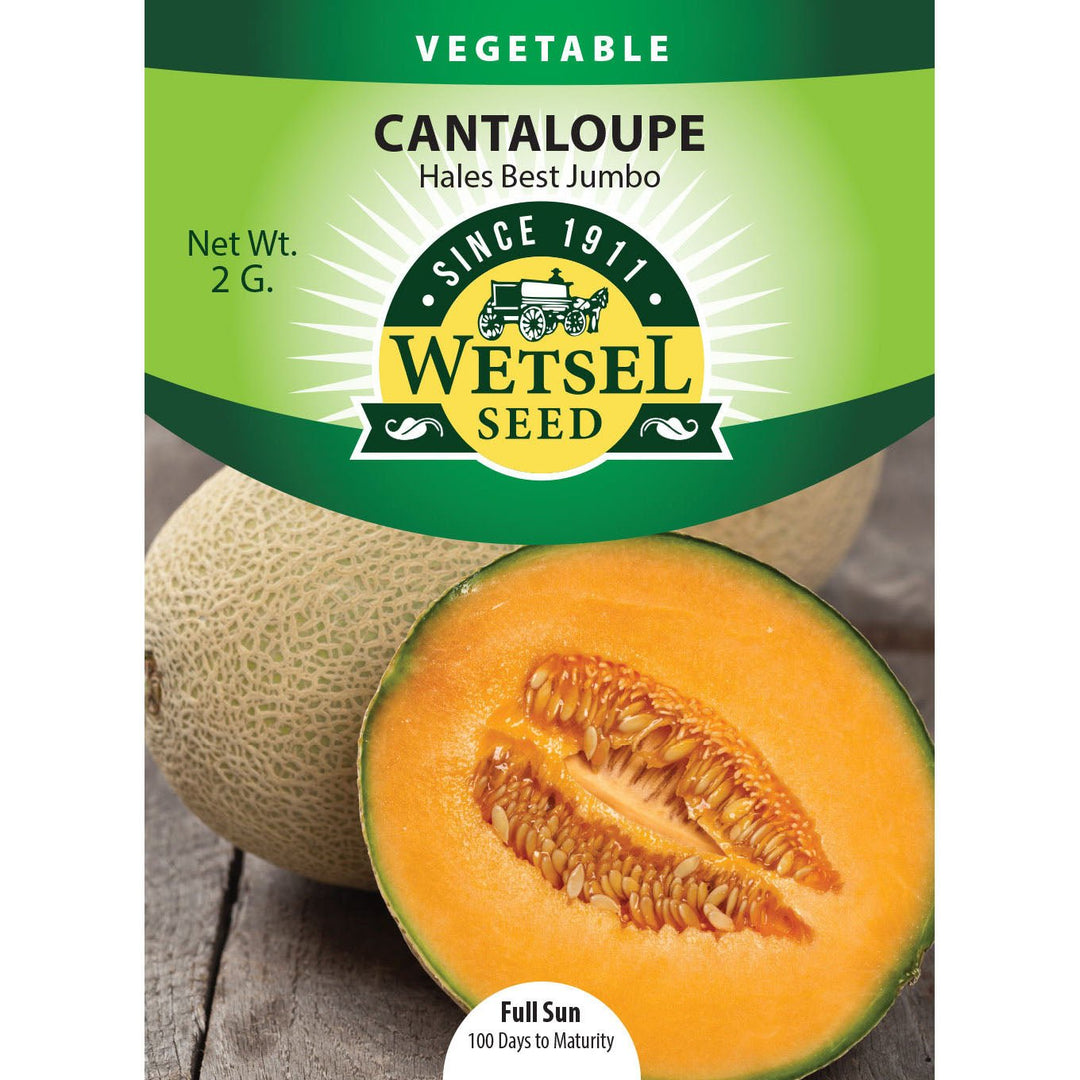 Wetsel Seed™ Hales Best Jumbo Cantaloupe Seed - Greenhouse Megastore