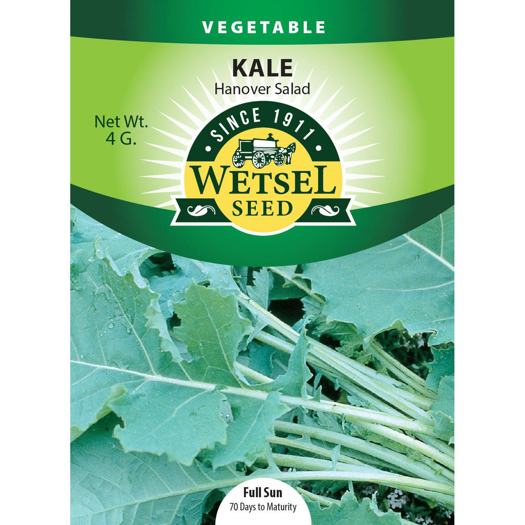 Wetsel Seed™ Hanover Salad Kale Seed - Greenhouse Megastore