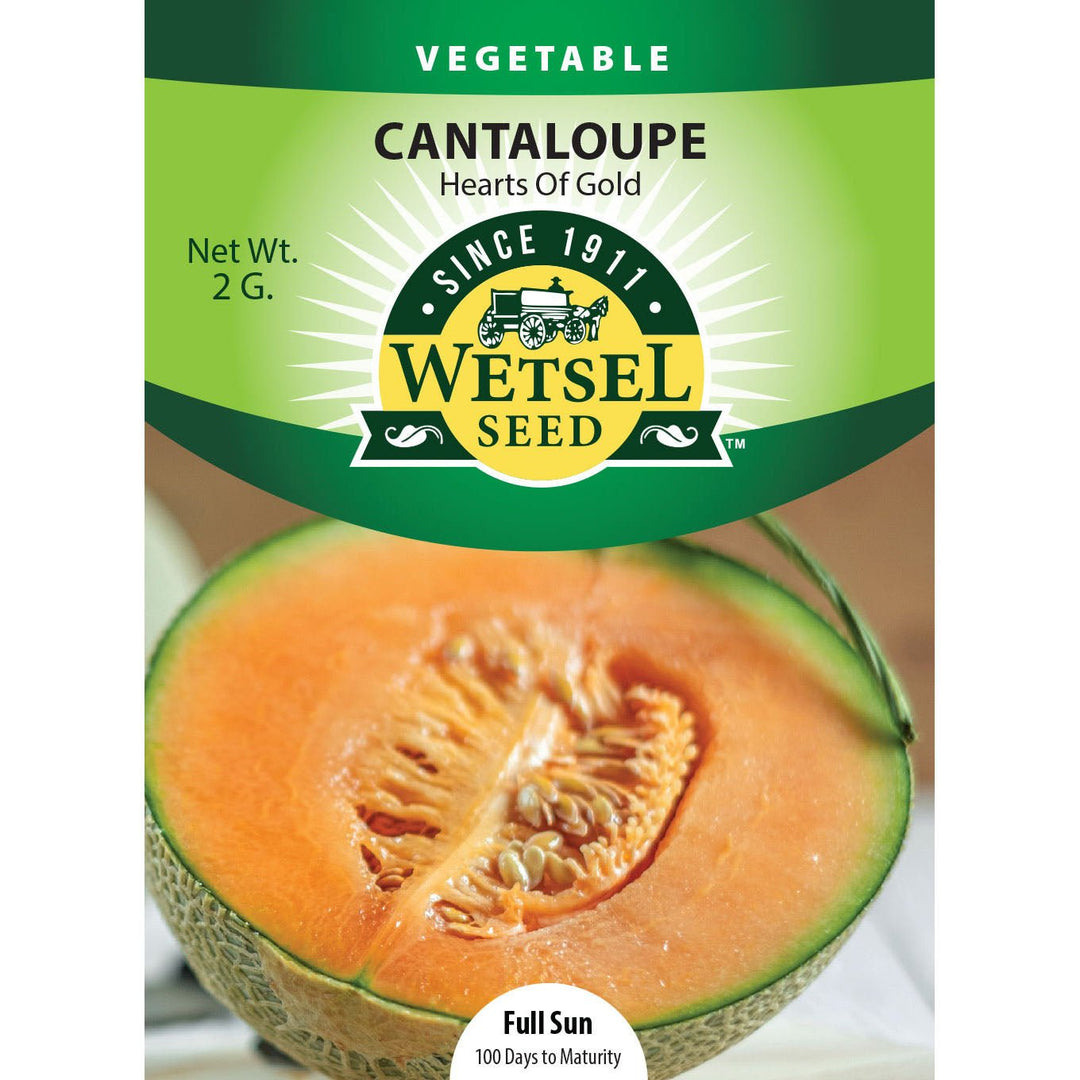 Wetsel Seed™ Hearts Of Gold Cantaloupe Seed - Greenhouse Megastore