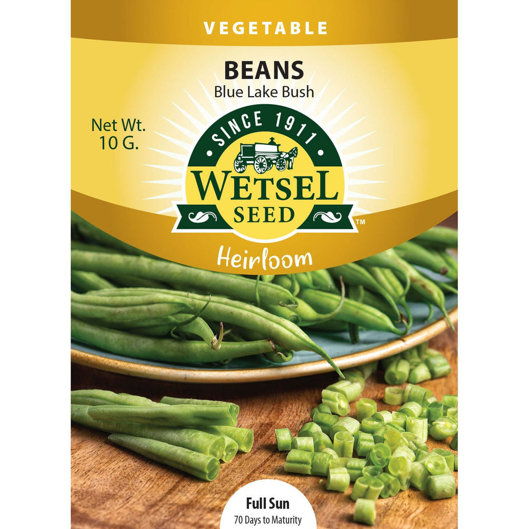 Wetsel Seed™ Heirloom Bean Blue Lake Bush Seed - Greenhouse Megastore