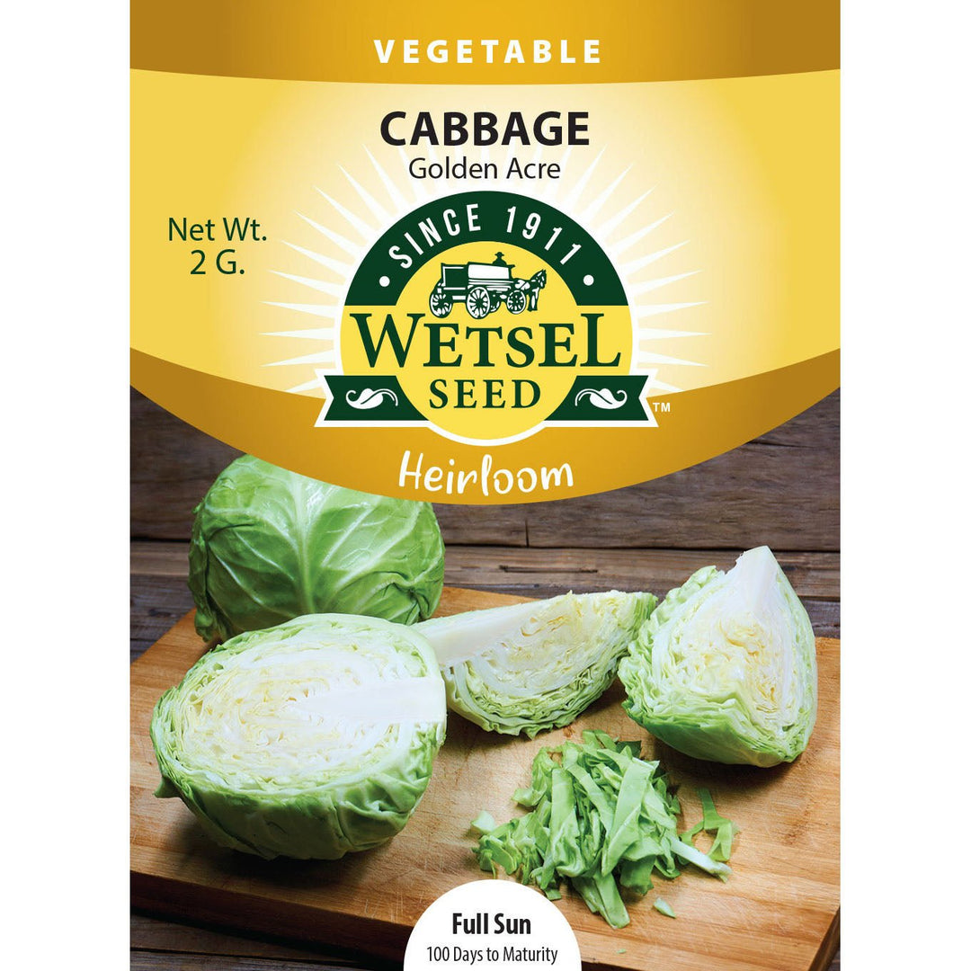 Wetsel Seed™ Heirloom Cabbage Early Golden Acre Seed - Greenhouse Megastore