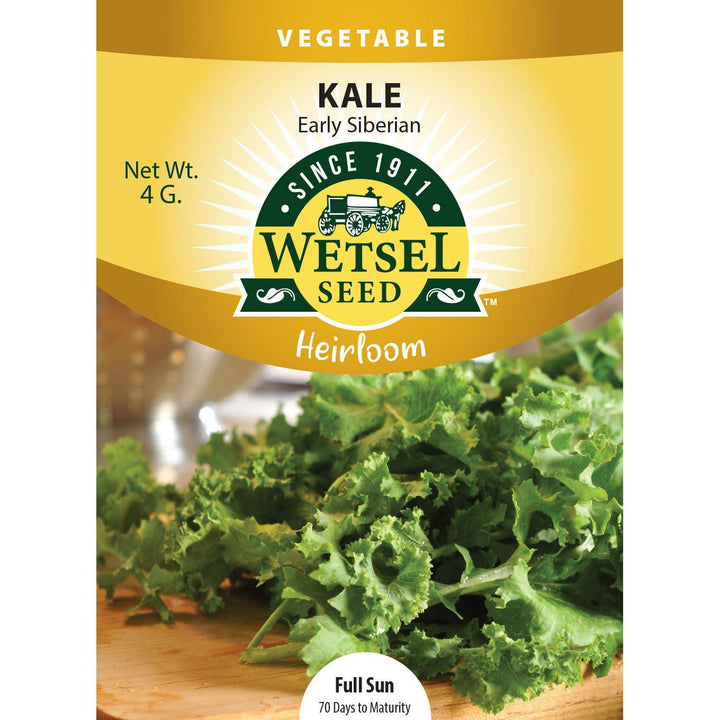 Wetsel Seed™ Heirloom Kale Early Siberian Seed - Greenhouse Megastore