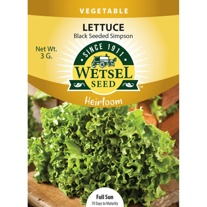 Wetsel Seed™ Heirloom Lettuce Black Seeded Simpson Seeds - Greenhouse Megastore