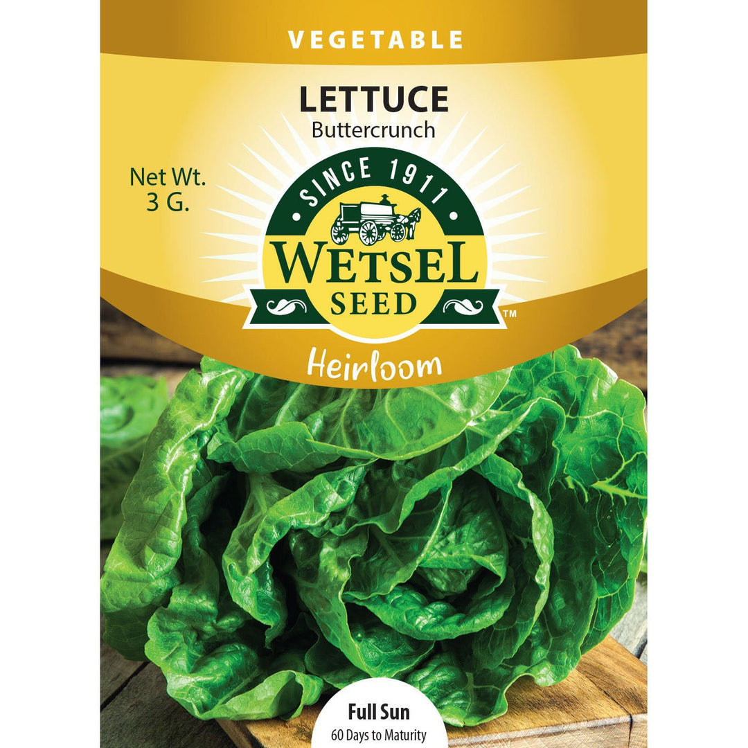 Wetsel Seed™ Heirloom Lettuce Buttercrunch Seed - Greenhouse Megastore