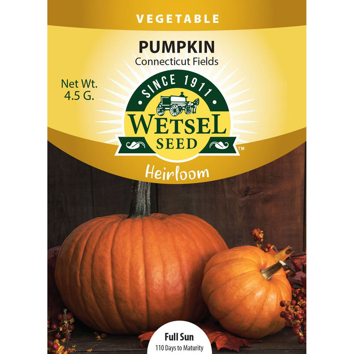 Wetsel Seed™ Heirloom Pumpkin Connecticut Field Seed - Greenhouse Megastore
