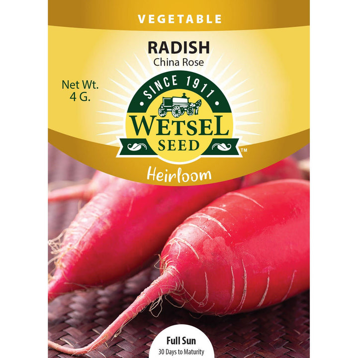 Wetsel Seed™ Heirloom Radish China Rose Seed - Greenhouse Megastore