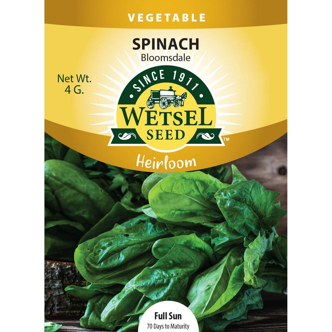 Wetsel Seed™ Heirloom Spinach Bloomsdale Seed - Greenhouse Megastore