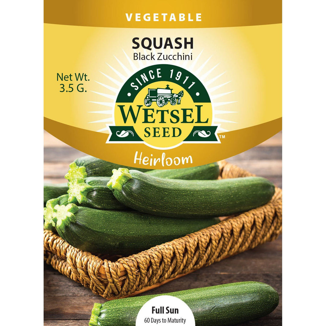 Wetsel Seed™ Heirloom Squash Black Zucchini Seed - Greenhouse Megastore