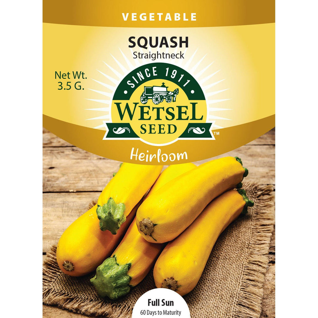 Wetsel Seed™ Heirloom Squash Straightneck Seed - Greenhouse Megastore