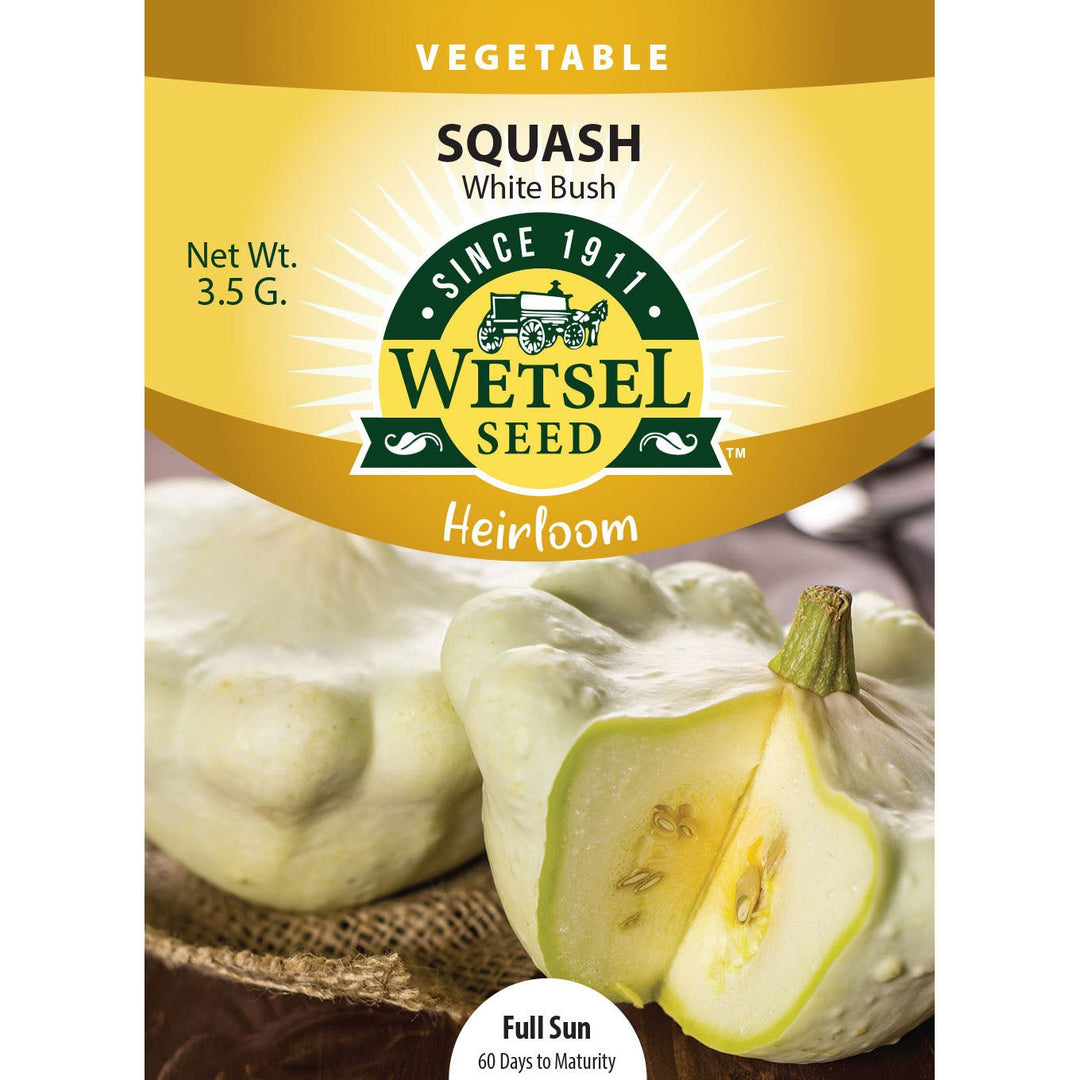 Wetsel Seed™ Heirloom Squash White Bush Seed - Greenhouse Megastore
