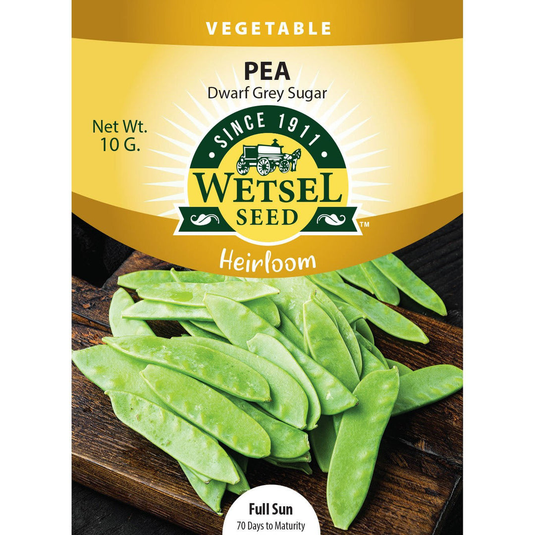 Wetsel Seed™ Heirloom Sugar Pea Dwarf Grey Seed - Greenhouse Megastore