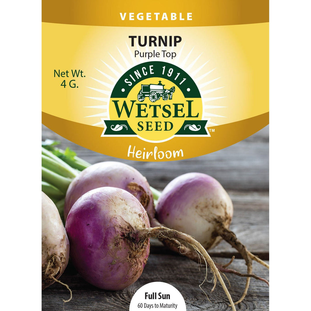 Wetsel Seed™ Heirloom Turnip Purple Top Seed - Greenhouse Megastore
