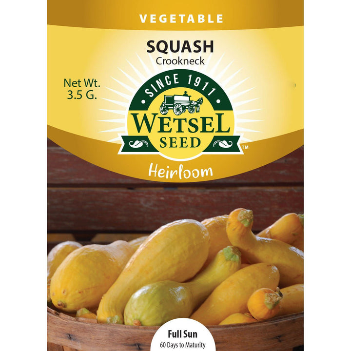 Wetsel Seed™ Hierloom Squash Crookneck Seed - Greenhouse Megastore